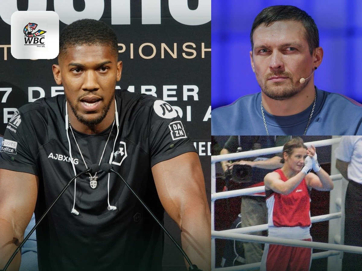 Collage of boxing stars with boxing competition mark